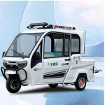 Pickup, electric tricycle, fully enclosed, adult, household, with shed, passenger and freight, picking up children, national standard, elderly, commuting, electric scooter