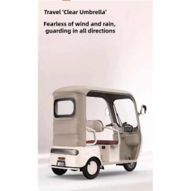 Emma Electric Tricycle Half Bag with Shed LeWei PRO Home Long Range High end Shuttle for Children, Sunscreen and Rain Protection