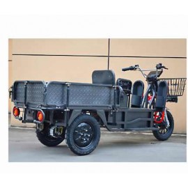 Load King electric tricycle for cargo long-distance running King agricultural road bully elderly delivery truck adult electric vehicle for cargo transportation