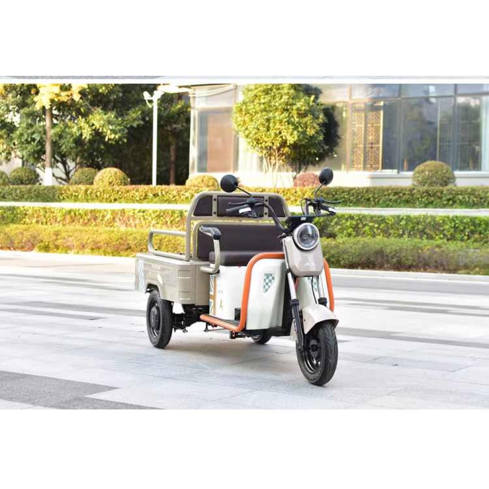 Phoenix small electric tricycle for both passenger and cargo use, home transportation for children, elderly transportation, electric scooter manufacturer direct sales