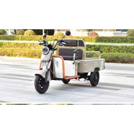 Phoenix small electric tricycle for both passenger and cargo use, home transportation for children, elderly transportation, electric scooter manufacturer direct sales